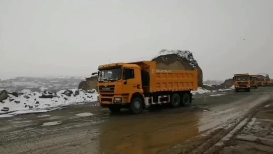 Serbatoio dell'acqua Shacman Truck 300 HP/Euroiv 8X4 Agricoltura Stoccaggio dell'acqua Buon camion con irrigatore d'acqua in vendita